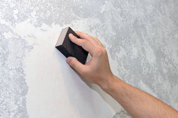 Best Mold Damage Restoration  in Avenel, NJ