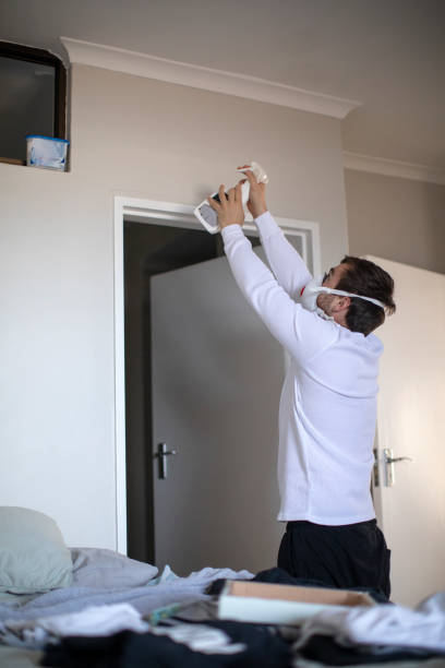 Best Mold Odor Removal Services  in Avenel, NJ