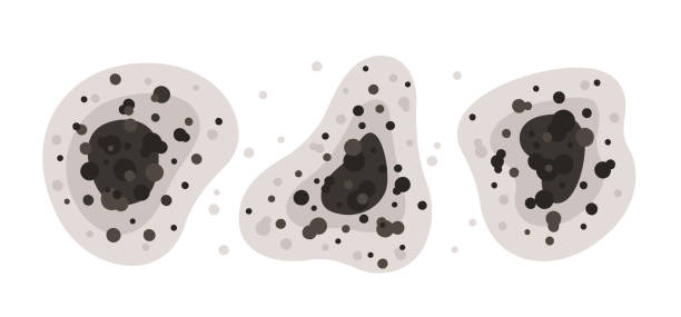 Best Forensic Mold Investigation  in Avenel, NJ