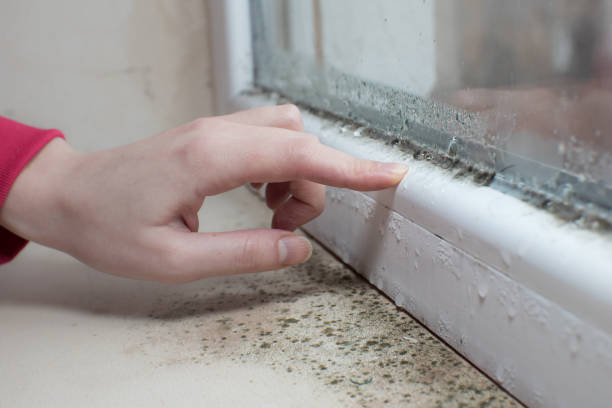 Best HVAC Mold Inspection and Cleaning  in Avenel, NJ
