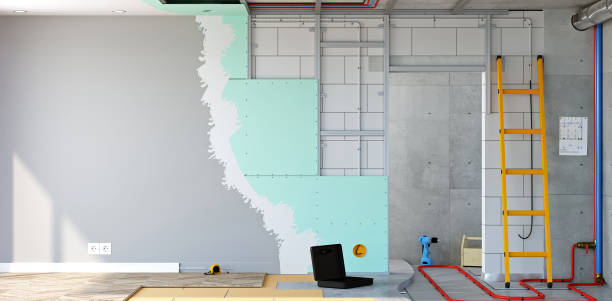Best Attic Mold Removal  in Avenel, NJ