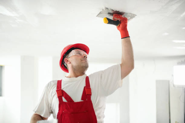 Best Mold-Related Health Consultation  in Avenel, NJ