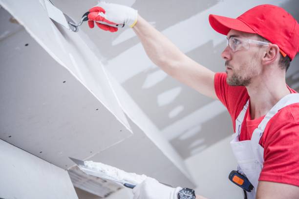  Avenel, NJ Mold Removal Pros